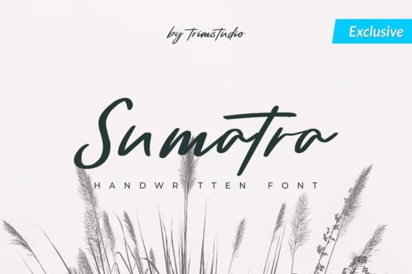 Sumatra Font: A Handwritten Typeface That Elevates Web Design